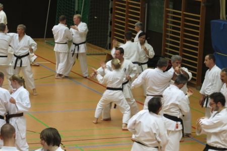Die Teilnehmer üben die gezeigten Techniken mit dem Partner und erhalten individuelle Korrekturen und Hinweise der Referenten.
