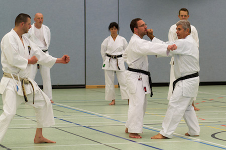 Bunkai Renshuho Fritz Oblinger demonstriert Heian Godan Renshuho