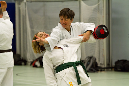 Anwendung der Bassai Sho Iain Abernethy demonstriert eine Anwendung